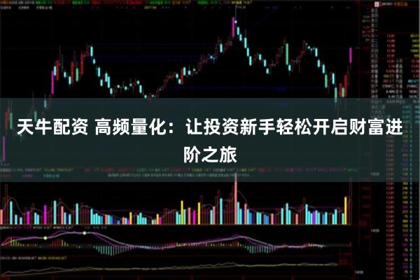 天牛配资 高频量化：让投资新手轻松开启财富进阶之旅