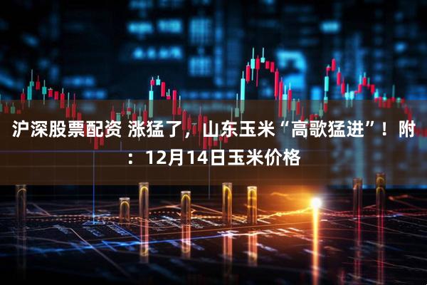 沪深股票配资 涨猛了，山东玉米“高歌猛进”！附：12月14日玉米价格